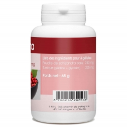 Schizandra  -  250 mg x 200 gélules