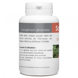 Salsepareille - 250 mg x 200 gélules