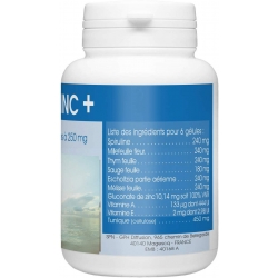 MENOZINC +  - 250 mg x 60 gélules