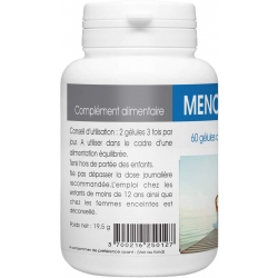 MENOZINC +  - 250 mg x 60 gélules