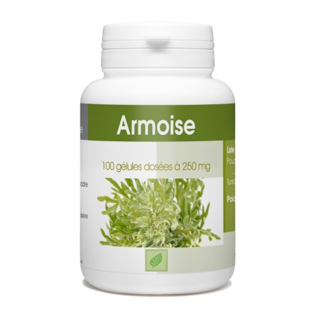 Armoise - 100 gél. x 250 mg