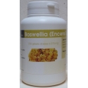Boswellia Encens 200 gél x 270 mg
