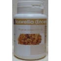 Boswellia Encens 100 gél x 270 mg