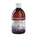 MANGANESE CUIVRE     500ml