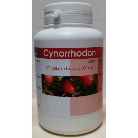 Cynorrhodon 200 gélules