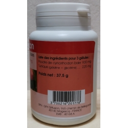 Cynorrhodon 100 gélules  x 250mg