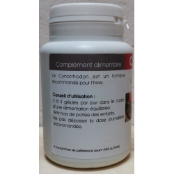 Cynorrhodon 100 gélules  x 250mg