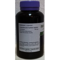 Desmodium Bio 60 gél.