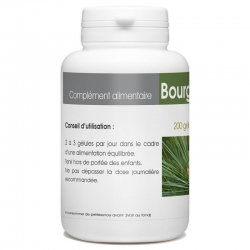 Bourgeon de pin 200 gél. x 200 mg