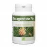 Bourgeon de pin 100 gélules x 200 mg
