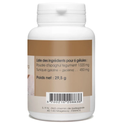 Ispaghul 100 gélules 220 mg