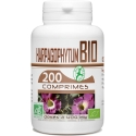 Harpagophytum Bio 400mg (200 comprimés)