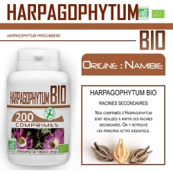Harpagophytum Bio 400mg (200 comprimés)