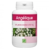 Angélique 400 mg x 200 comprimés