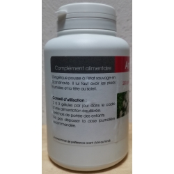 Angélique 400 mg x 200 comprimés