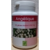 Angélique 250 mg x 100 gélules