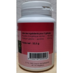 Angélique 250 mg x 100 gélules