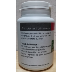 Angélique 250 mg x 100 gélules