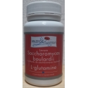 Levure Saccharomyces Boulardii - L Glutamine   -  60 gélules x 400 mg