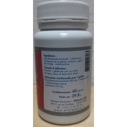 Levure Saccharomyces Boulardii - L Glutamine   -  60 gélules x 400 mg
