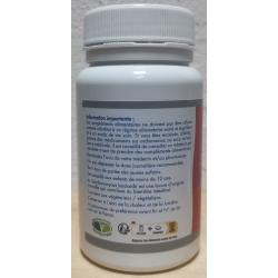 Levure Saccharomyces Boulardii - L Glutamine   -  60 gélules x 400 mg