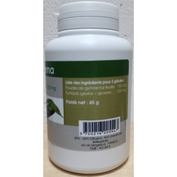 Gymnema  250 mg x 200 gélules