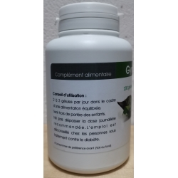 Gymnema  250 mg x 200 gélules