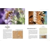 Le Grand Livre des Abeilles - François Lassourd & Jean-Paul VIART  200 pages
