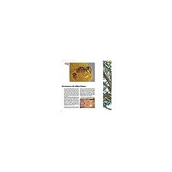 Le Grand Livre des Abeilles - François Lassourd & Jean-Paul VIART  200 pages