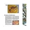 Le Grand Livre des Abeilles - François Lassourd & Jean-Paul VIART  200 pages