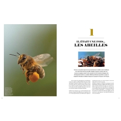 Le Grand Livre des Abeilles - François Lassourd & Jean-Paul VIART  200 pages