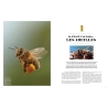 Le Grand Livre des Abeilles - François Lassourd & Jean-Paul VIART  200 pages