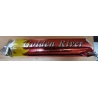 charbon Golden River 10 pastilles