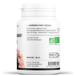 Valériane Bio  250 mg x 100 gélules