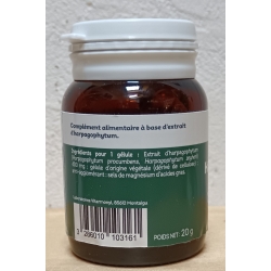 Harpagophytum Articulations -  40 gélules