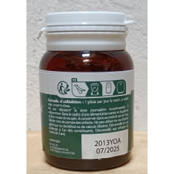 Harpagophytum Articulations -  40 gélules