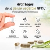Cassis Bio 200 gélules