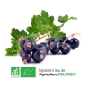 Cassis Bio 200 gélules