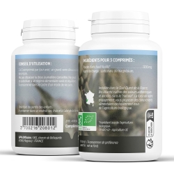 Artichaut 400mg 200 comprimés