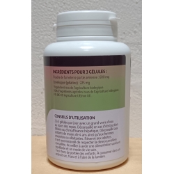 Fumeterre Bio - 200 mg x 200 gélules