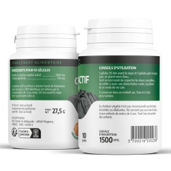 Charbon Végétal Activé - 100 gélules x 200 g