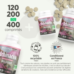 Echinacea Bio 400mg