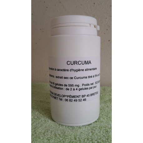 CURCUMA 90 gélules
