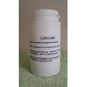 CURCUMA 90 gélules
