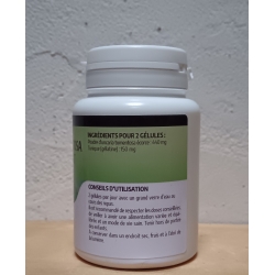 Griffe de chat  220 mg x 100 gélules