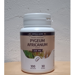Pygeum Africanum (Prunier d'Afrique) - 100 gélules x 250 mg