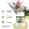 Pygeum Africanum (Prunier d'Afrique) - 100 gélules x 250 mg