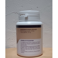 Pygeum Africanum (Prunier d'Afrique) - 100 gélules x 250 mg