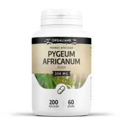 Pygeum Africanum (Prunier d'Afrique) - 200 gélules x 250 mg