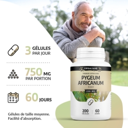 Pygeum Africanum (Prunier d'Afrique) - 200 gélules x 250 mg